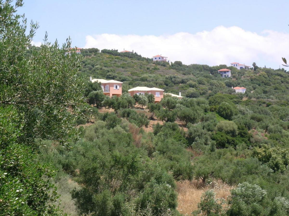 Schiza Houses ฟีนีคุนตา ภายนอก รูปภาพ